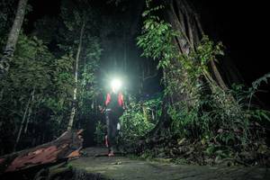 BIB: 
                            <button type="button" onclick="openModal(24808797)" class="btn btn-primary btn-sm float-right btn-popup" data-toggle="modal" data-target=".modal-high-quality">
                        <i class="fas fa-shopping-cart"></i> Add to Cart
                    </button>
                                            <button type="button" onclick="isThisMe(24808797, true)" class="btn btn-success btn-sm float-right btn-popup btn-isme hidden" data-toggle="tooltip" data-placement="bottom" title="นี่คือรูปของคุณใช่ไหม คลิกที่นี่เพื่อเอาเข้าอัลบั้ม">
                        <i class="fas fa-plus"></i> Add to album
                    </button>
                    <button type="button" onclick="isThisMe(24808797, false)" class="btn btn-warning btn-sm float-right btn-popup btn-isnotme hidden">
                        <i class="fas fa-ban"></i> Remove from album
                    </button>